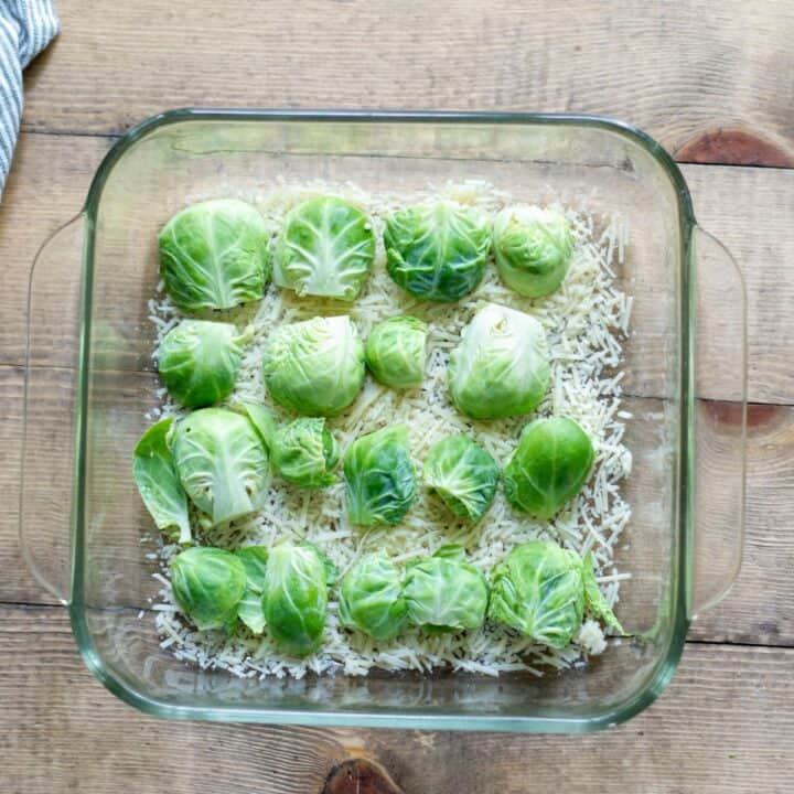 Prepared Brussels sprouts placed cut side down on the parmesan cheese in a baking dish.