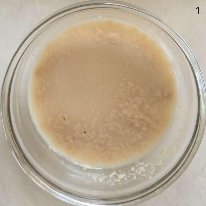 Yeast in a glass bowl of warm water.